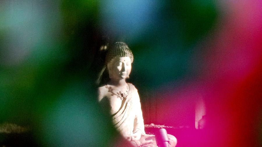 Budha Photograph by Rupinder S Aulakh