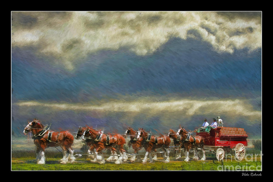 Horse Photograph - Budweiser Clydesdale Paint 2 by Blake Richards