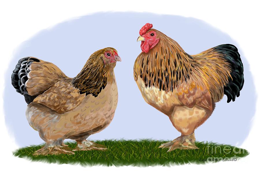 https://images.fineartamerica.com/images-medium-large-5/buff-brahma-rooster-and-hen-leigh-schilling-edwards.jpg