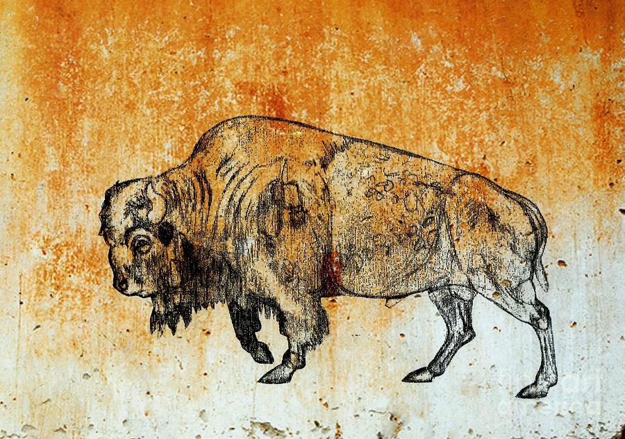 Buffalo 8 Drawing by Larry Campbell