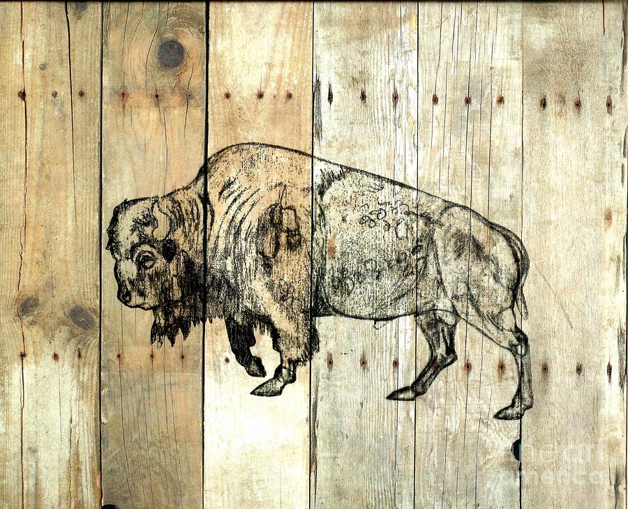 Buffalo 9 Drawing by Larry Campbell