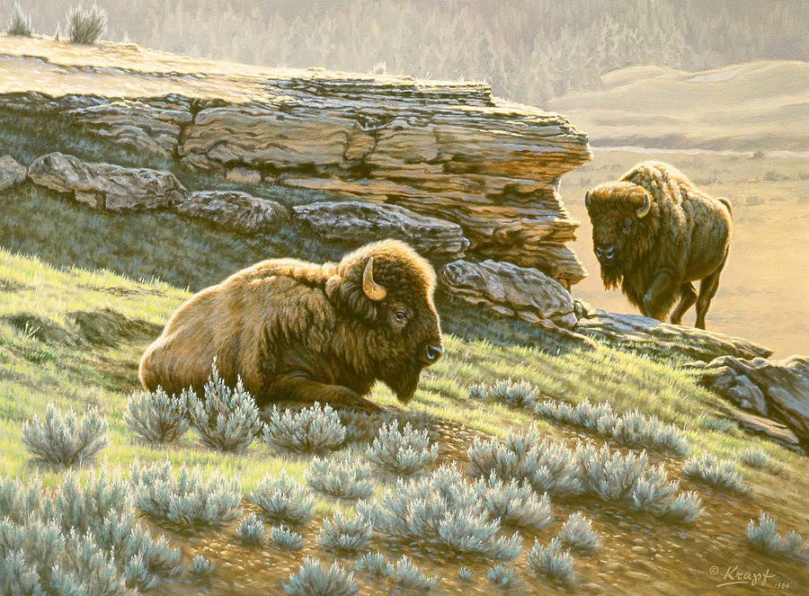 Wildlife Painting - Buffalo at Soda Butte by Paul Krapf