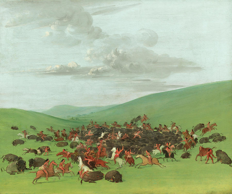 Buffalo Chase. A Surround by the Hidatsa Painting by George Catlin