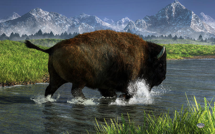 Buffalo Crossing a River Digital Art by Daniel Eskridge