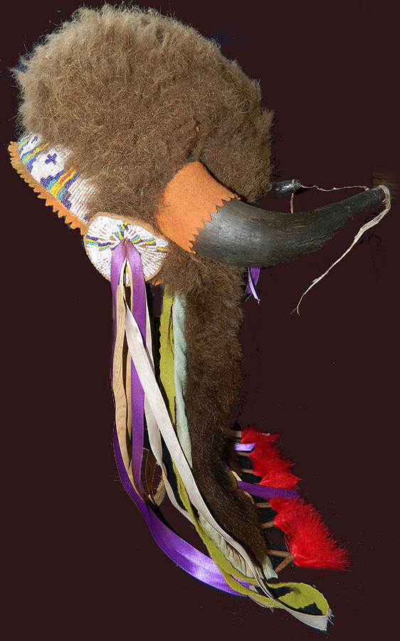native american buffalo headdress