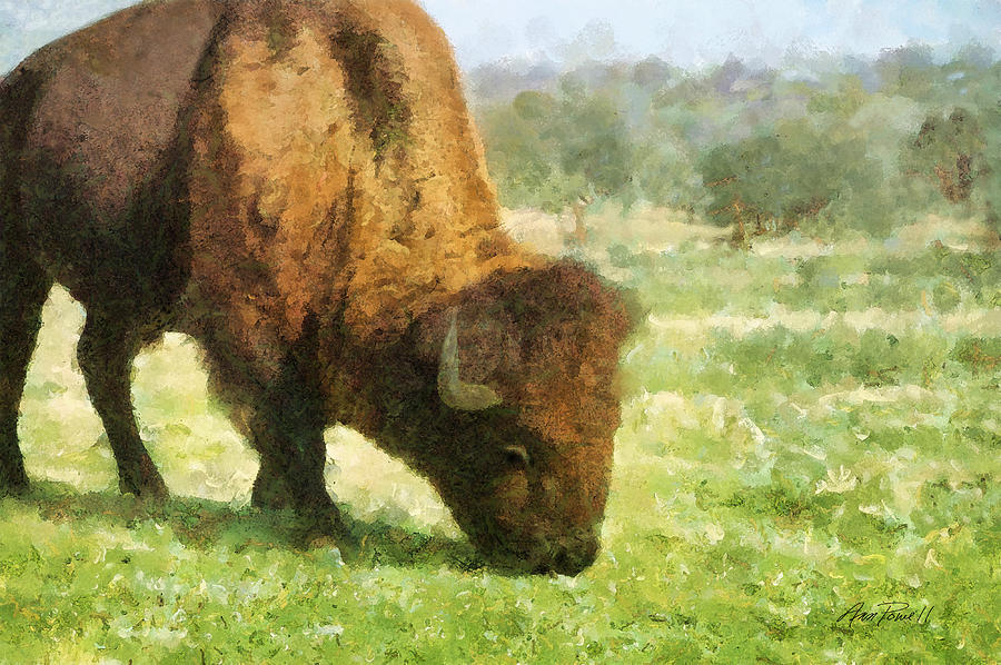 Buffalo Grazing  Digital Art by Ann Powell