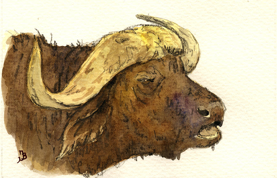 Buffalo Painting - Buffalo head by Juan  Bosco