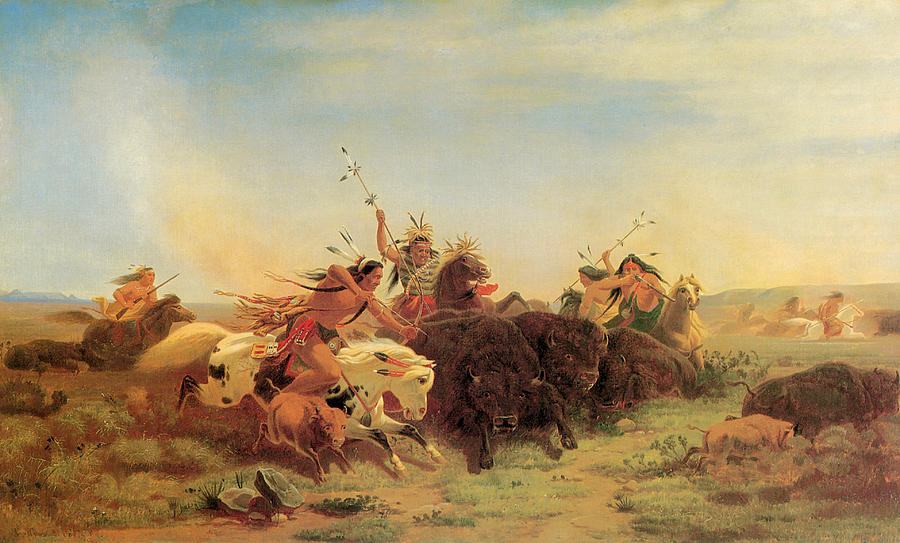 North American Indian hunting buffalo, 1861 available as Framed