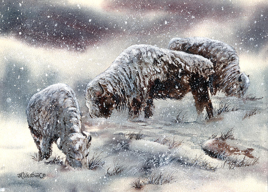 Buffalo in Snow Painting by Jill Westbrook