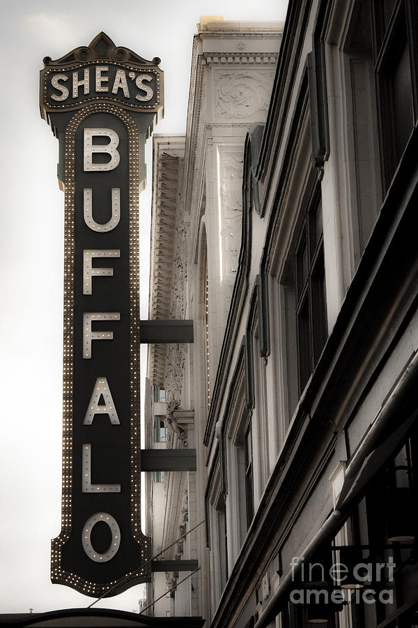 Buffalo Photograph - Buffalo by Ken Marsh
