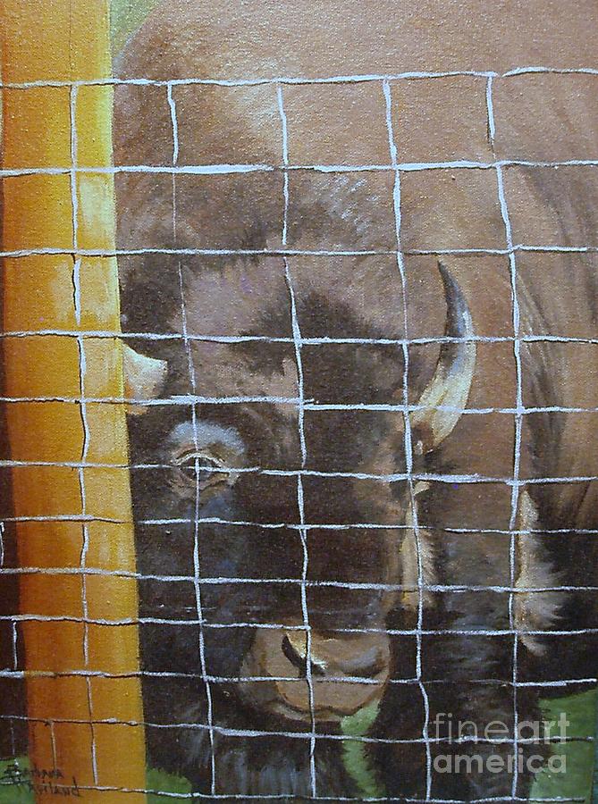 Buffalo or Bison  Painting by Barbara Haviland