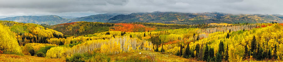 Fall Photograph - Buffalo Pass Steamboat Springs CO by Teri Virbickis