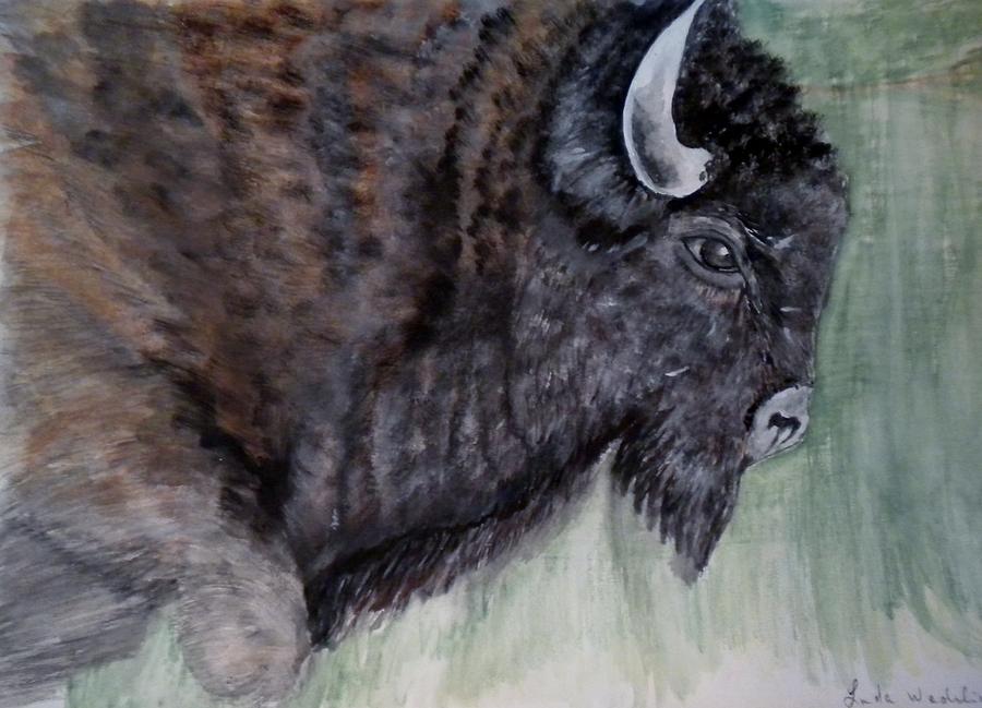 Buffalo-sully Wildlife Preserve Painting