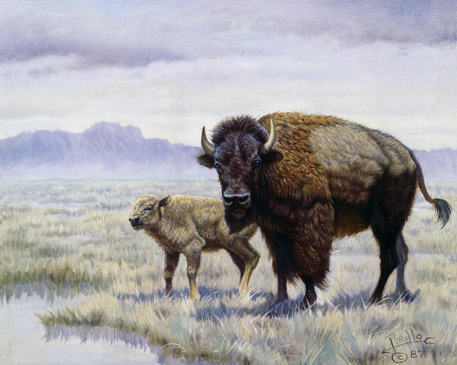Buffalo Painting - Buffalo Watering Hole by Gregory Perillo