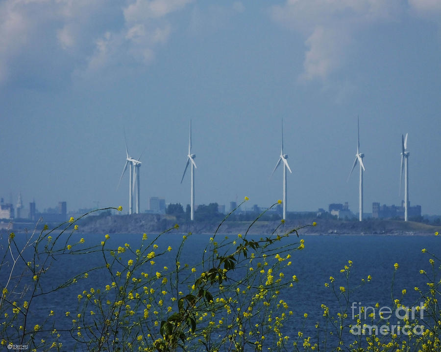 Buffaloe NY Windmills at Lake Erie Photograph by Lizi Beard-Ward