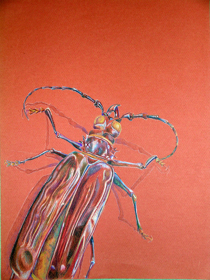 Bug by Dennis Murphy Bug by Dennis Murphy