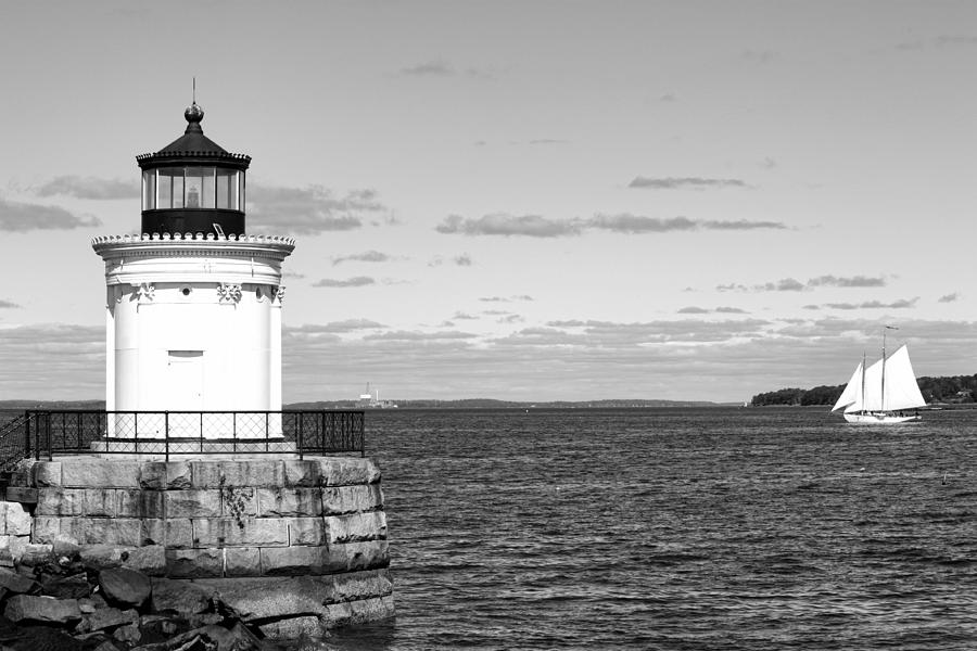 Bug Light In Black and White Photograph by Jenny Hudson