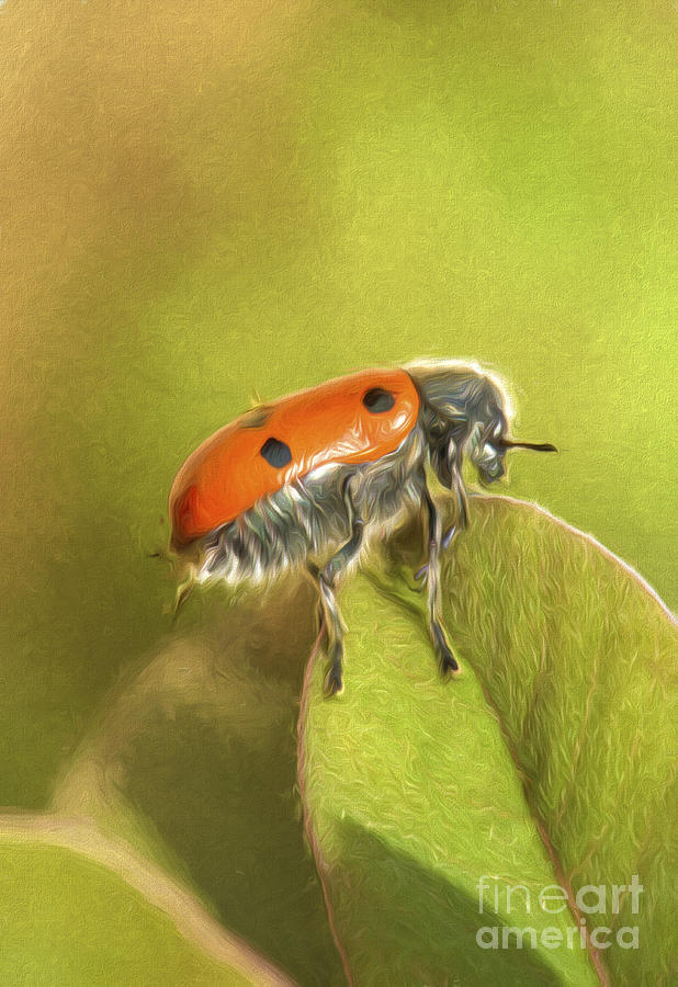 Bug On Leave Digital Art by Perry Van Munster
