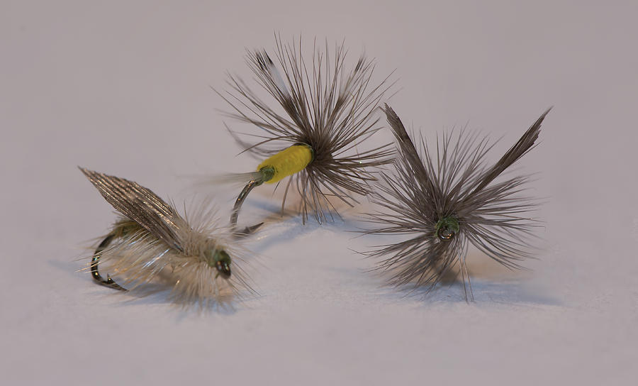 Fly Fishing Photograph - Bug Puppets 002 by Phil And Karen Rispin