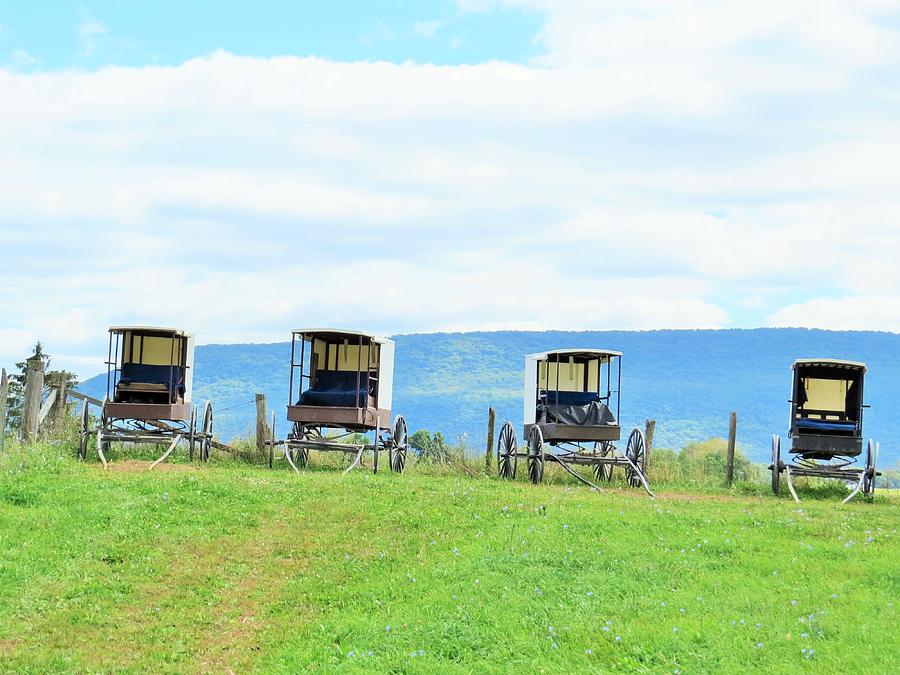 Buggies in a Row Photograph by Jeanette Oberholtzer