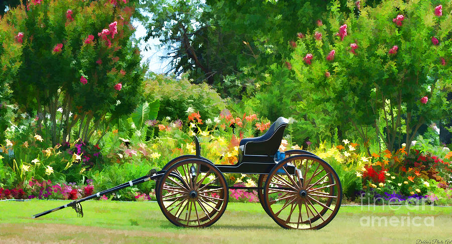 Buggy and Flower Garden Digital paint Photograph by Debbie Portwood