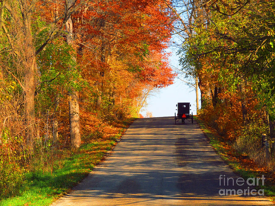 Fall Photograph - Buggy on a Lonely Road in the Fall by Tina M Wenger