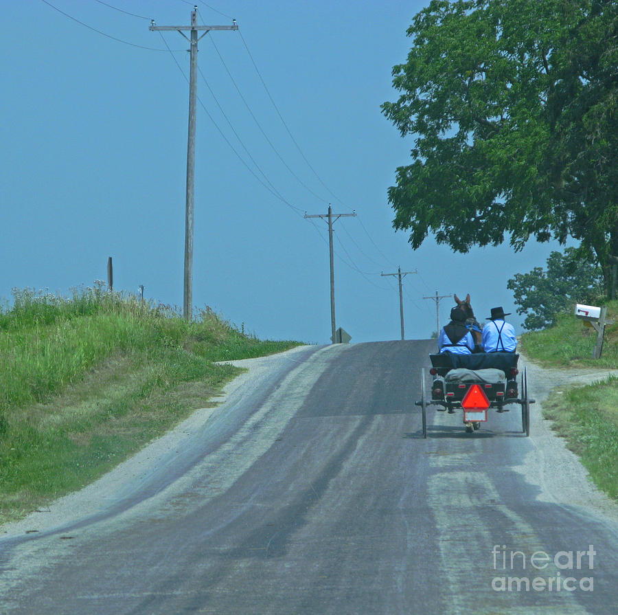 Buggy Ride Photograph by Ann Horn