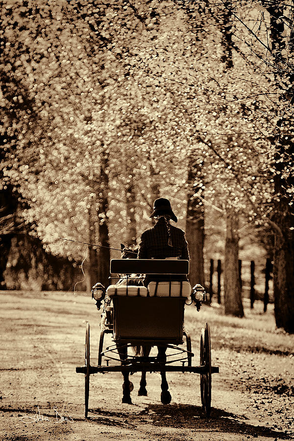 Buggy Ride Photograph by Joan Davis