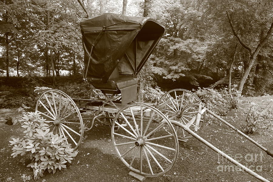 Black And White Photograph - Buggy Sepia by Dwight Cook