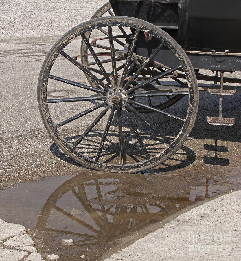 Buggy Wheels Photograph by Ann Horn
