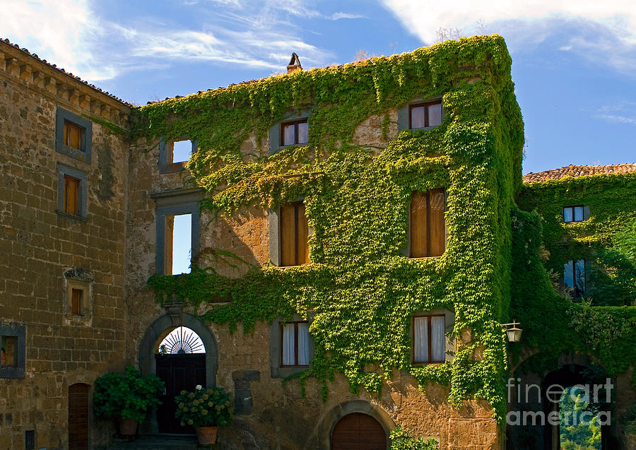 Building And Ivy, Italy Photograph by Tim Holt
