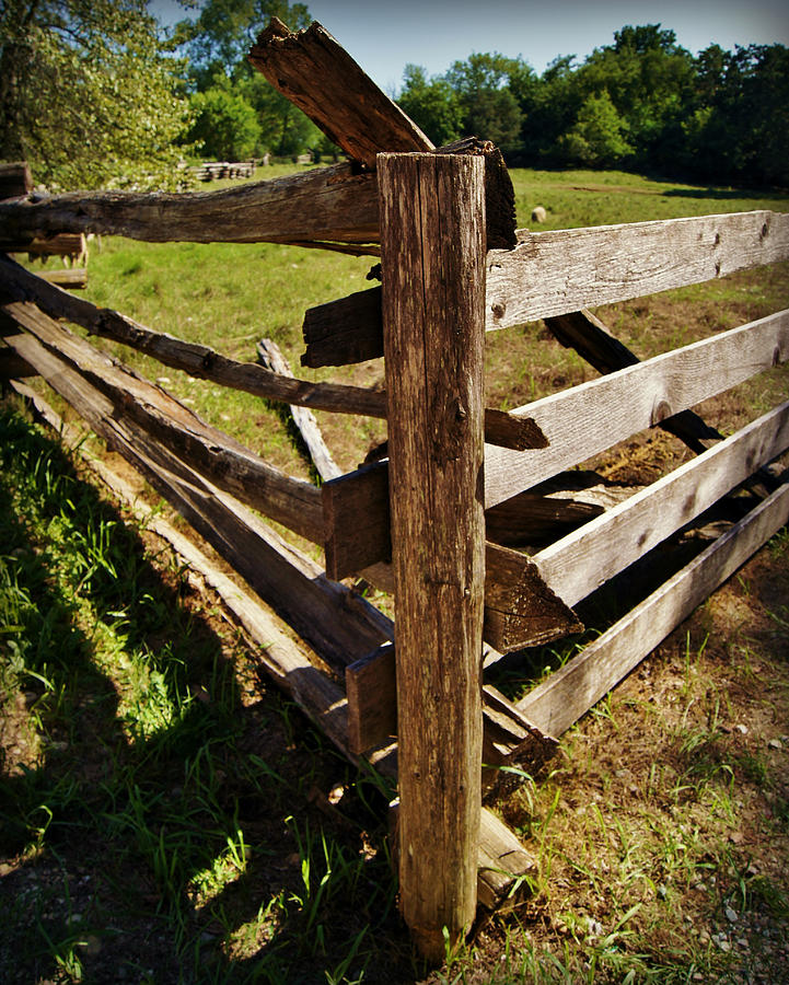 Building Fences for the Sheep Photograph by Carol Toepke | Fine Art America