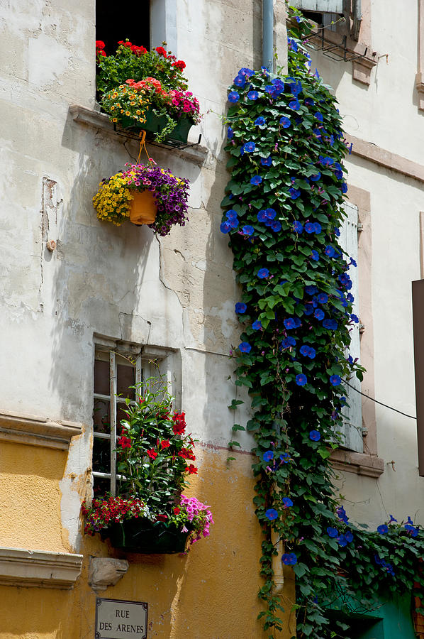 Architecture Photograph - Building With Flower Pots On Each by Panoramic Images