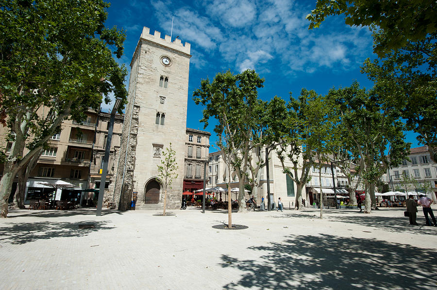 Tree Photograph - Buildings In A Town, Place Saint-jean by Panoramic Images