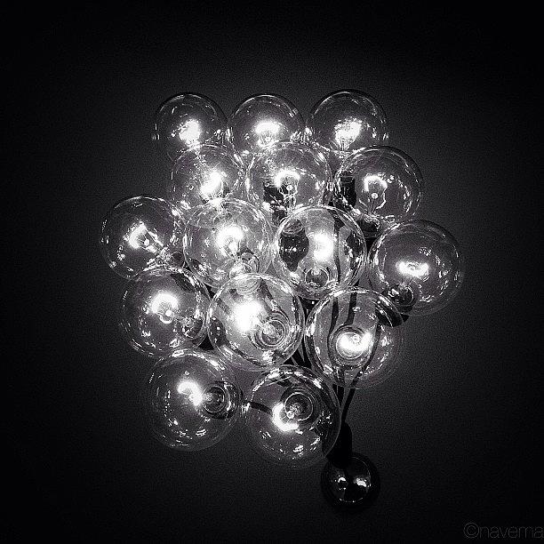 Blackandwhite Photograph - Bulb Bouquet by Natasha Marco