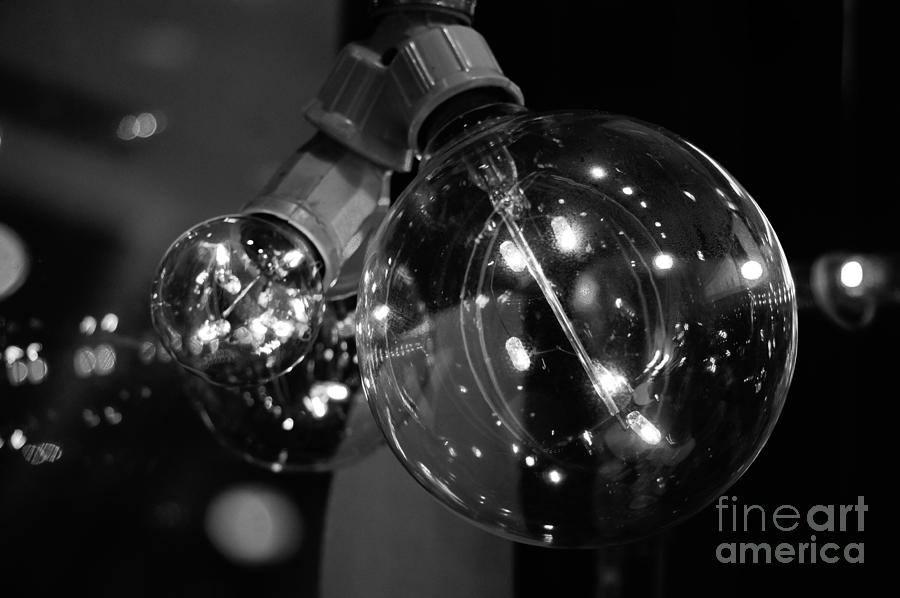 Bulbs Photograph by Lilliana Mendez