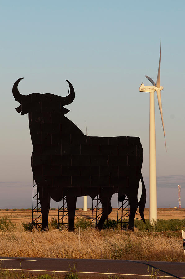 Bull Advertising Sign And Wind Turbine Photograph by Marco Ansaloni / Science Photo Library