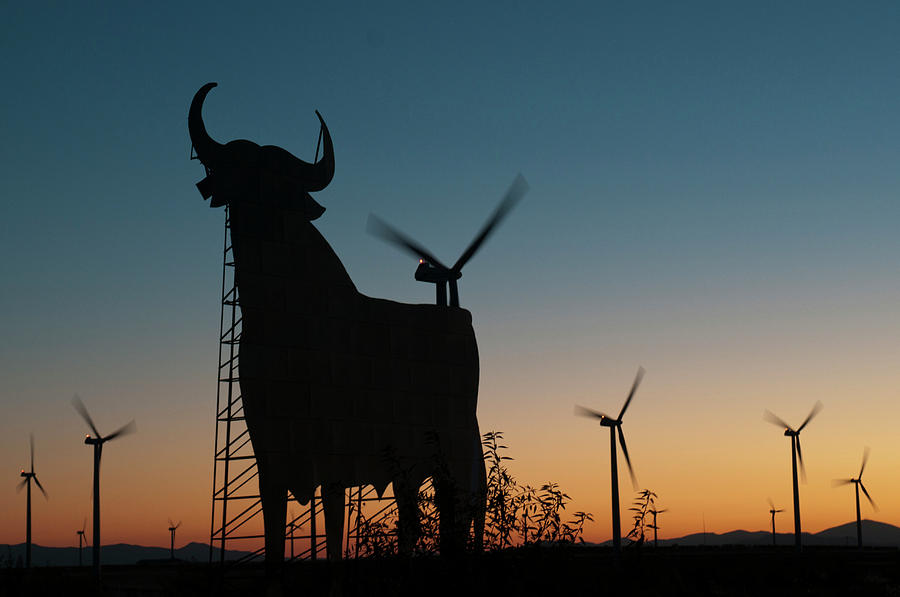 Bull Advertising Sign And Wind Turbines At Sunset Photograph by Marco Ansaloni / Science Photo Library