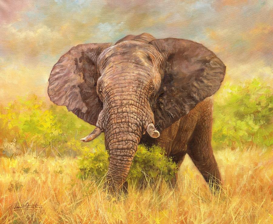 Bull Elephant Painting by David Stribbling