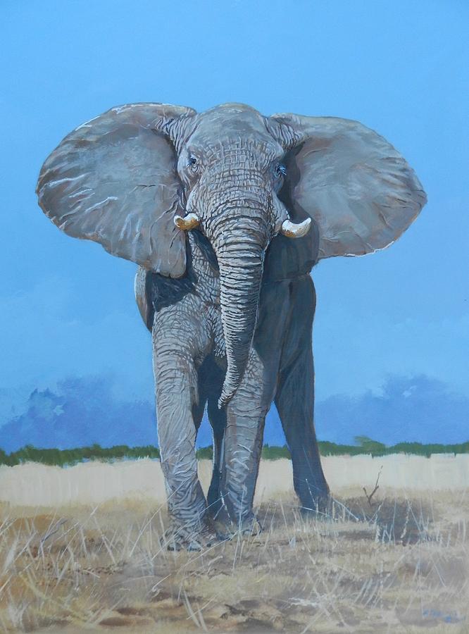 Bull Elephant Painting by Robert Teeling - Fine Art America