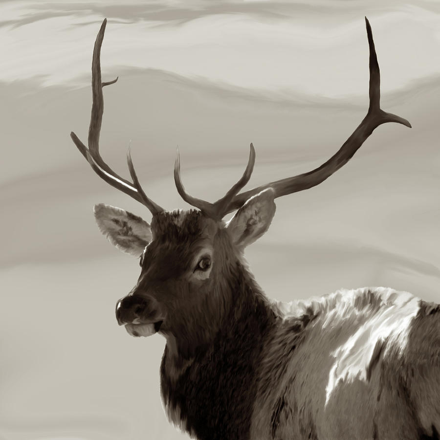 Bull Elk Freehand Sepia Digital Art by Ernest Echols