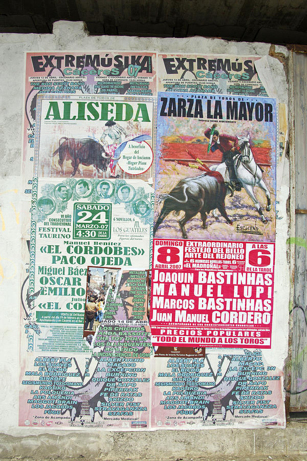 Bull-fighting Posters Photograph by Duncan Usher