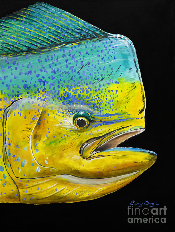 Fish Painting - Bull Head Off0033 by Carey Chen