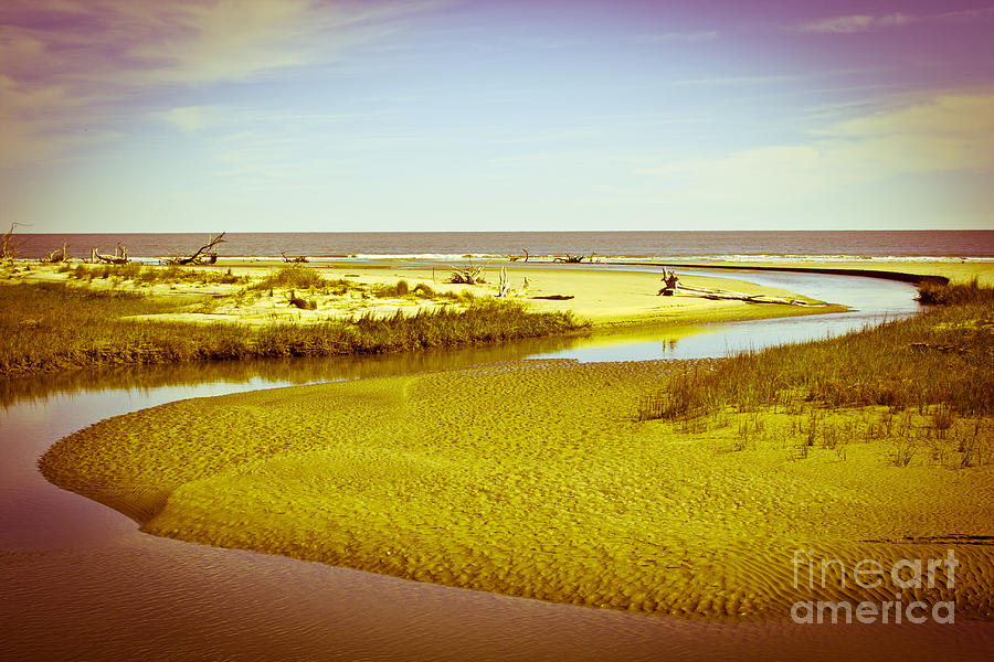 Bull Island Photograph by Cynthia Walker Pixels