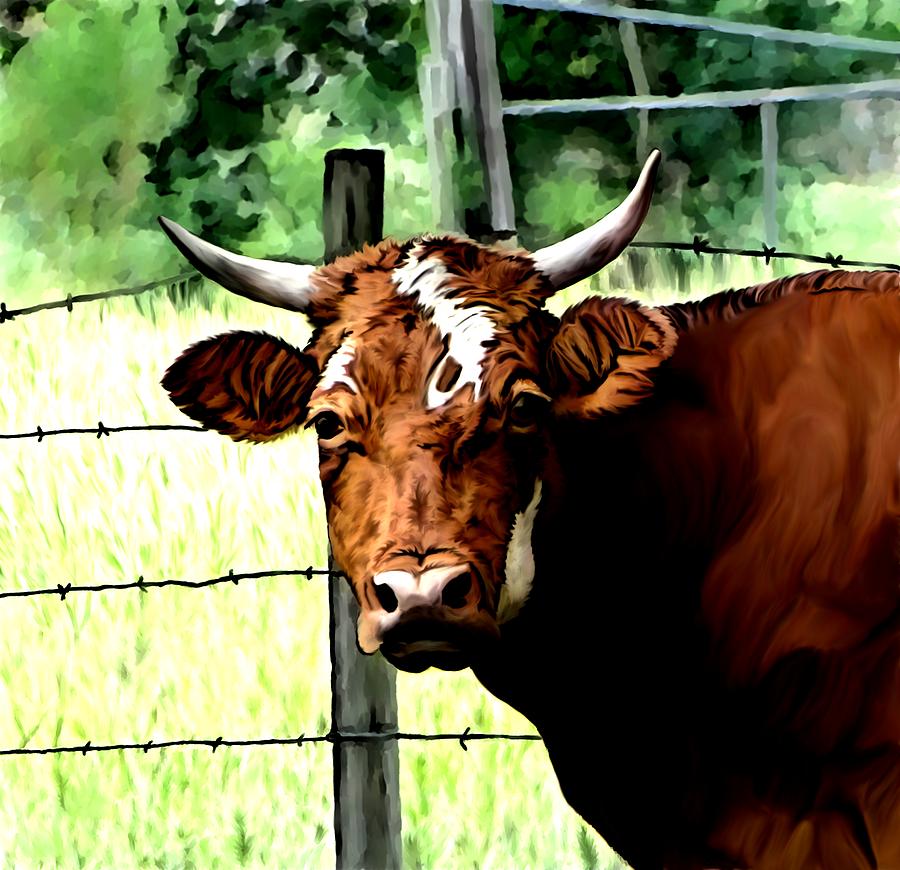 Bull Digital Art by Karen Sheltrown - Fine Art America