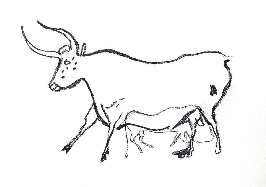 Bull Line Drawing Drawing by Melinda Saminski