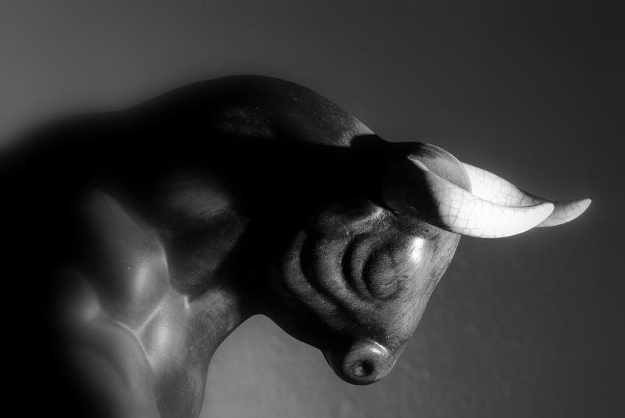Bull Photograph - Bull by Nathan Abbott