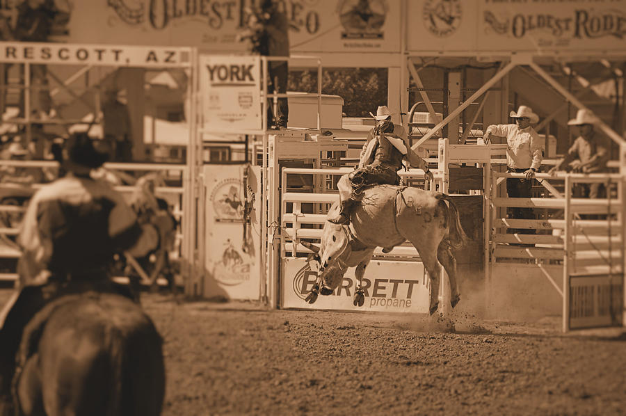 Bull Rider Photograph by Stormys Unique Creations - Fine Art America