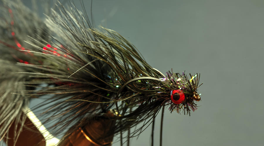 Fly Photograph - Bull Trout Fly 001 by Phil And Karen Rispin