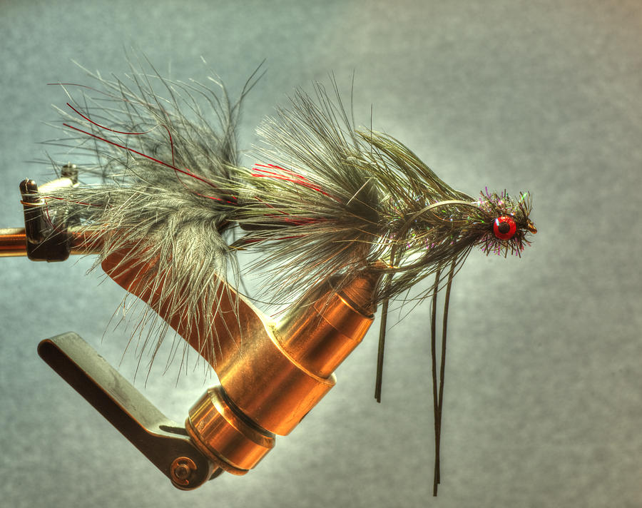 Fly Photograph - Bull Trout Fly 002 by Phil And Karen Rispin